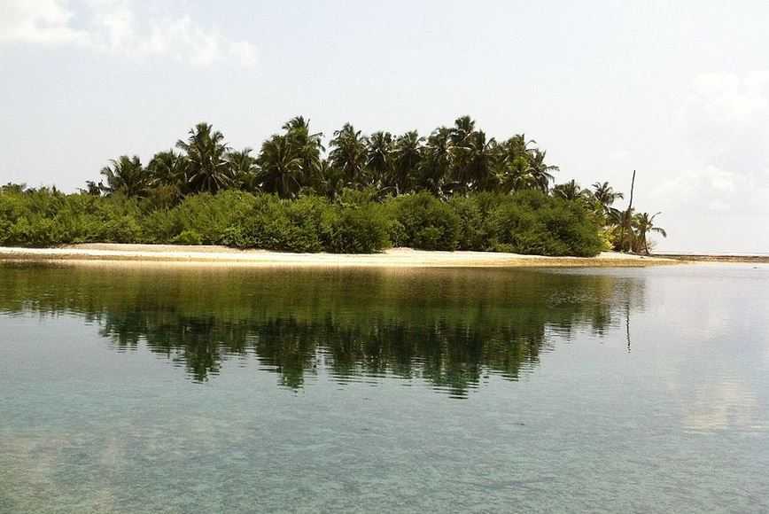 Top 10 Best Dive Spots in the World, Maldives Reefs