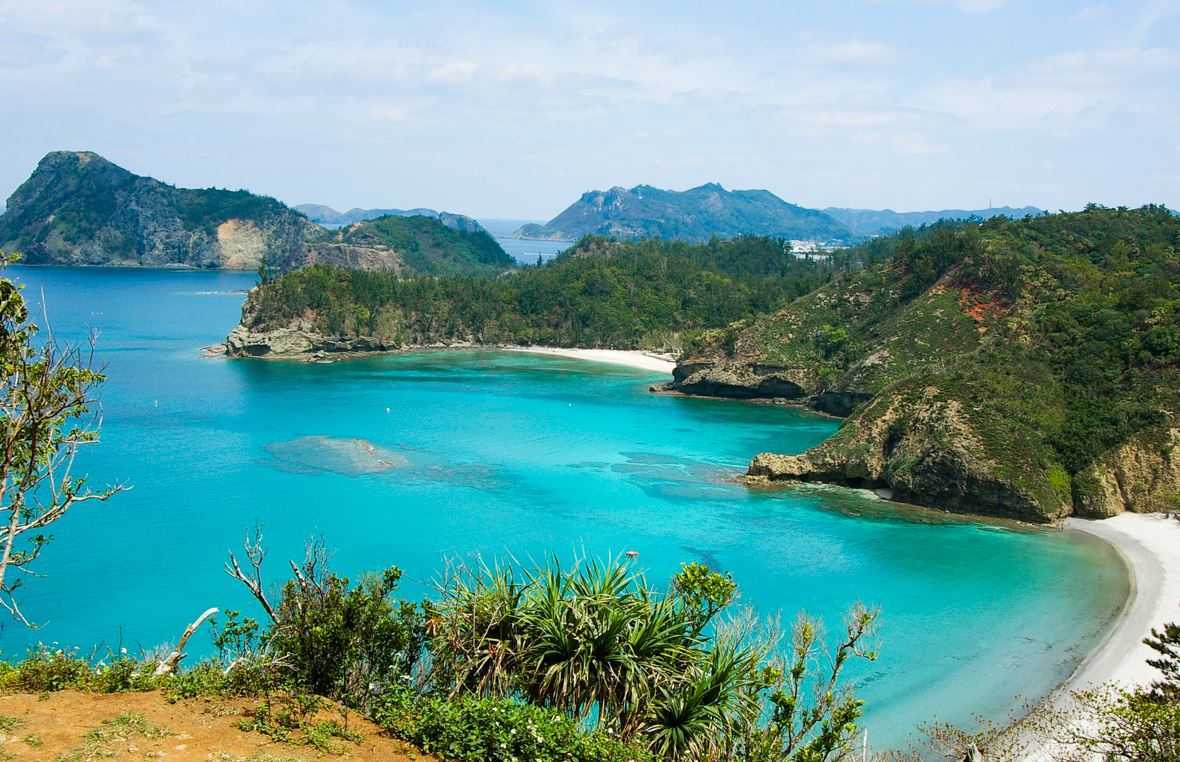 Top 10 Greatest Island Ecosystems of the World, Ogasawara Islands