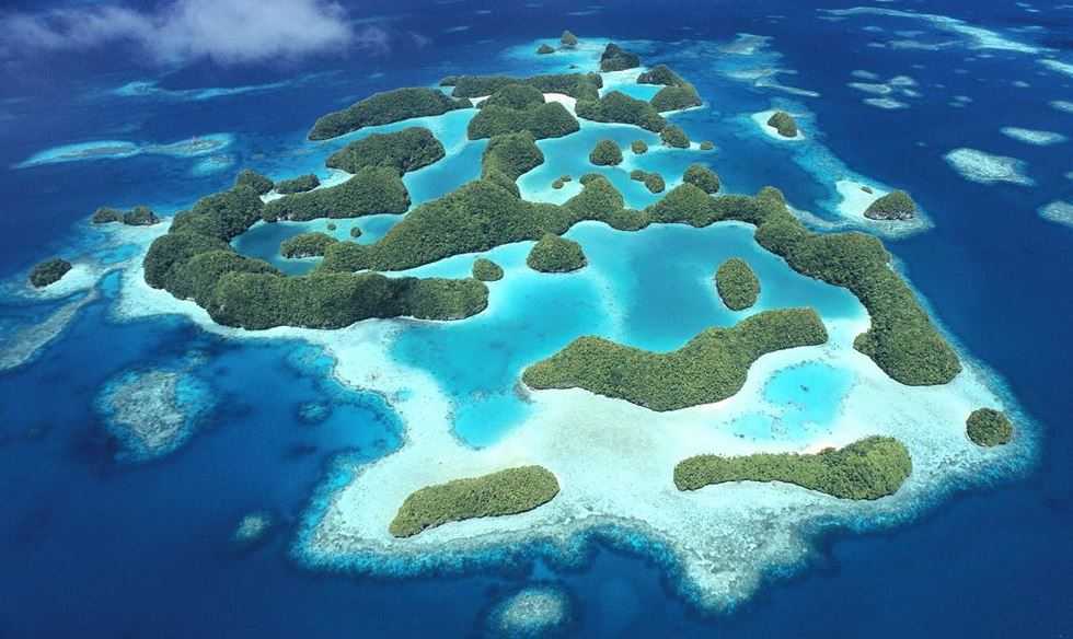 Top 10 Best Dive Spots in the World, Palau Dive Spots