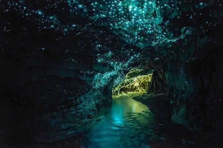 Top 10 Famous Underground Caves in the World, Waitomo Caves
