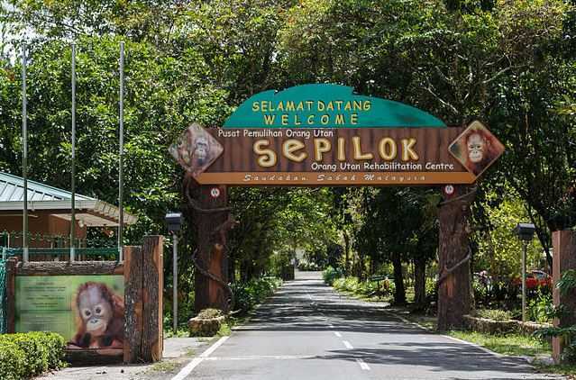 Top 10 Tourist Attractions in Malaysia, Sepilok Rehabilitation Centre