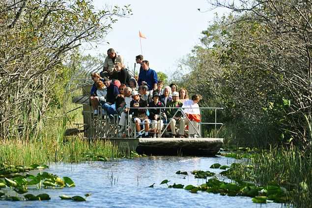 Everglades, things to do in Florida