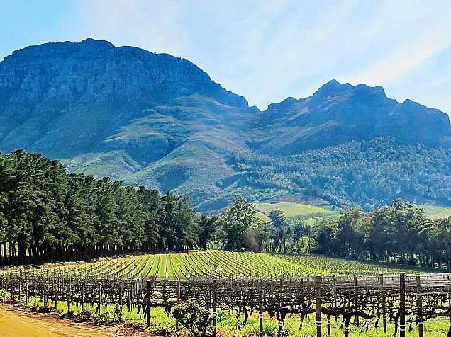 Cape Winelands, holidays in South Africa
