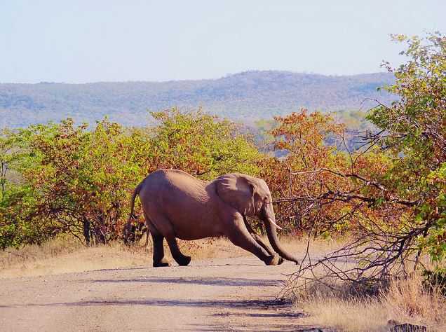 Kruger National Park, holidays in South Africa