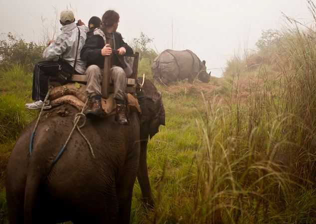 Chitwan National Park, tourist places in Nepal