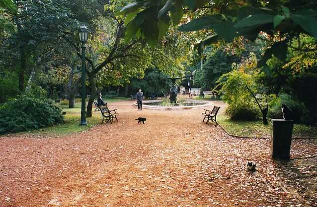 Carlos Thays Botanical Garden, what to do in Buenos Aires